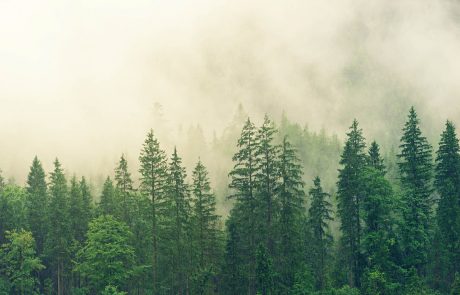Où se joue la lutte contre le réchauffement climatique ?