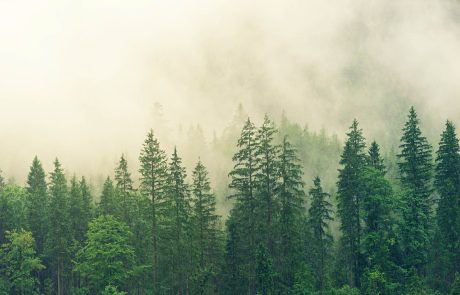 Où se joue la lutte contre le réchauffement climatique ?