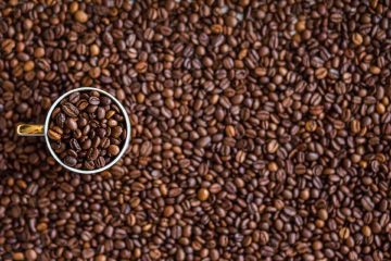 Les producteurs de café cherchent à repousser l’obligation de déforestation imposée par l’UE