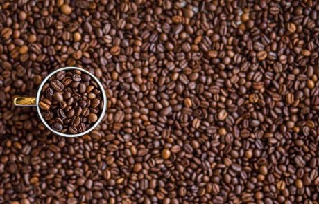 Les producteurs de café cherchent à repousser l’obligation de déforestation imposée par l’UE