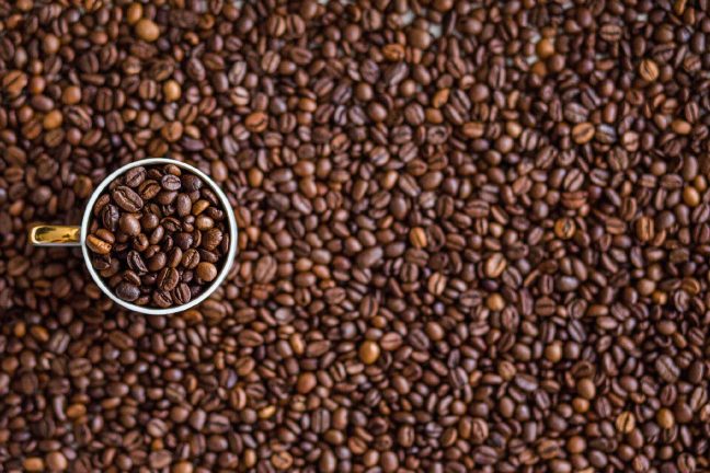 Les producteurs de café cherchent à repousser l’obligation de déforestation imposée par l’UE