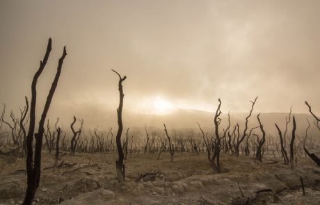 +7°C en 2100 : le réchauffement climatique a-t-il été sous-estimé ?