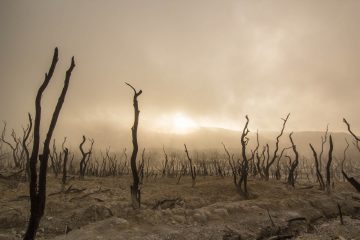 +7°C en 2100 : le réchauffement climatique a-t-il été sous-estimé ?