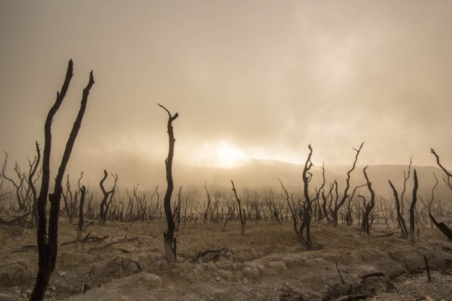 +7°C en 2100 : le réchauffement climatique a-t-il été sous-estimé ?