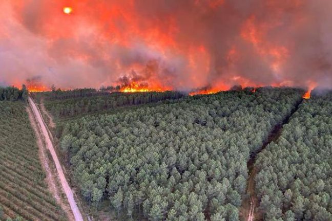Le sud-ouest de la France inquiet des incendies à venir