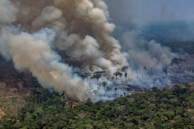 Le Brésil va embaucher plus d’agents environnementaux pour lutter contre les incendies de forêt