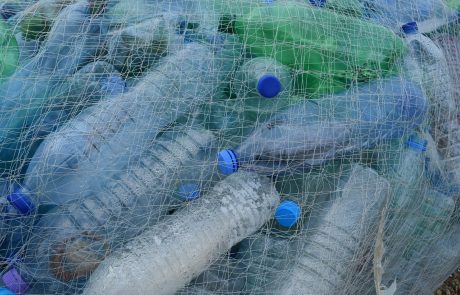 Un être humain ingère 5 grammes de plastique par semaine