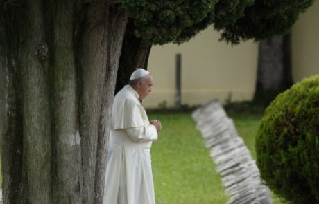 Le pape lance une initiative verte, décriant « l’attitude prédatrice » envers la planète