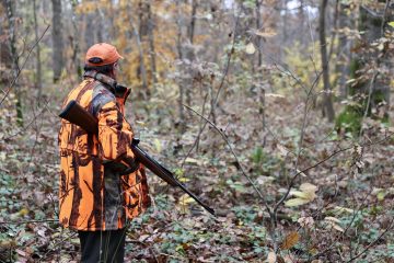 Chasse : 80 % des Français pour l’interdiction de la chasse le dimanche