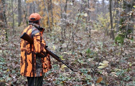 Chasse : 80 % des Français pour l’interdiction de la chasse le dimanche