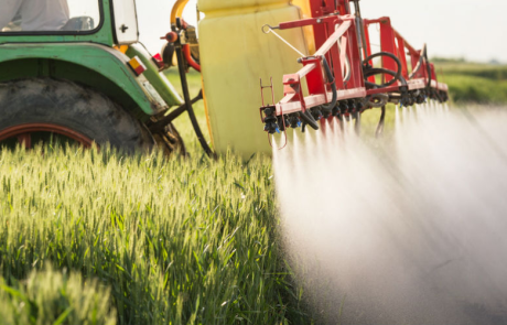 La justice française interdit la vente de deux désherbants à base de glyphosate