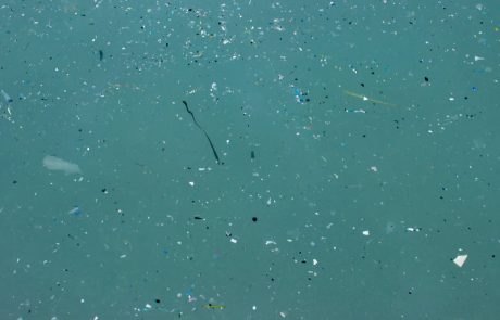 Microplastiques : une interdiction à l’échelle de l’UE épargnerait la nature de la dispersion de 500 000 tonnes en 20 ans