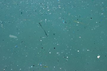 Microplastiques : une interdiction à l’échelle de l’UE épargnerait la nature de la dispersion de 500 000 tonnes en 20 ans