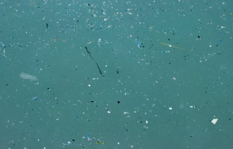 Microplastiques : une interdiction à l’échelle de l’UE épargnerait la nature de la dispersion de 500 000 tonnes en 20 ans
