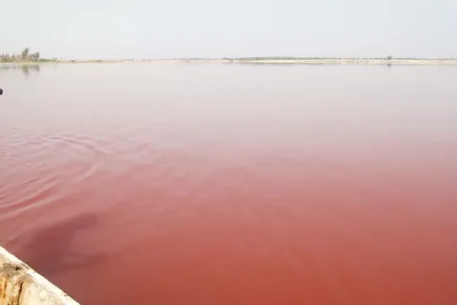 Le célèbre lac rose du Sénégal menacé par les eaux de crue après les pluies torrentielles