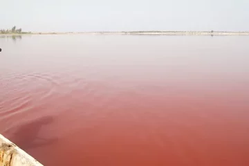 Le célèbre lac rose du Sénégal menacé par les eaux de crue après les pluies torrentielles