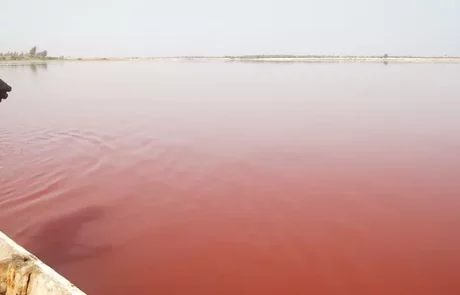 Le célèbre lac rose du Sénégal menacé par les eaux de crue après les pluies torrentielles