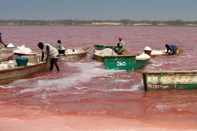 La vie n’est plus rose sur le lac rose du Sénégal après les inondations
