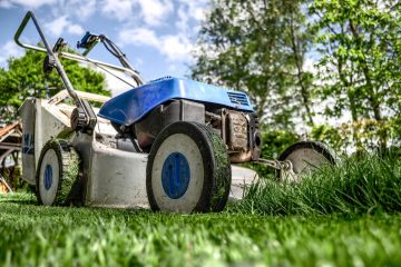 Les communes restreignent la tonte des jardins privés