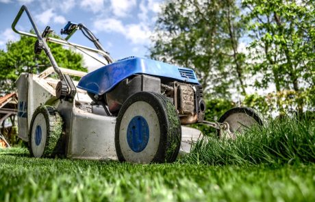 Les communes restreignent la tonte des jardins privés