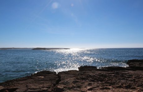 Déclaration de Malte : vers la fin de la surpêche en Méditerranée ?