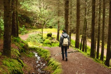 Les métiers de la forêt, au cœur des enjeux de transition écologique