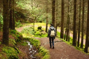 Les métiers de la forêt, au cœur des enjeux de transition écologique