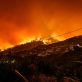 Feux de forêts : prévenir plutôt que subir