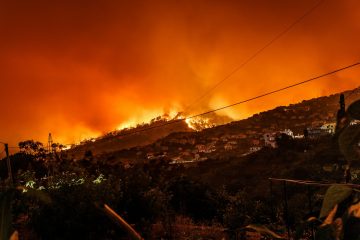 Feux de forêts : prévenir plutôt que subir