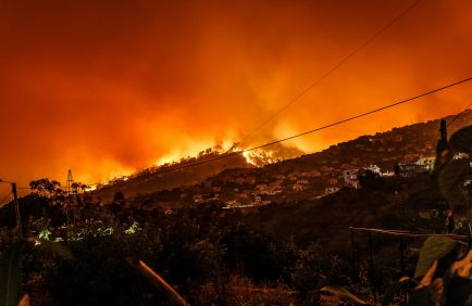 Feux de forêts : prévenir plutôt que subir