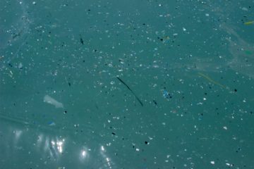 Un chercheur reconnu pour ses travaux révolutionnaires d’élimination des microplastiques lors du traitement de l’eau