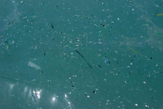 Un chercheur reconnu pour ses travaux révolutionnaires d’élimination des microplastiques lors du traitement de l’eau