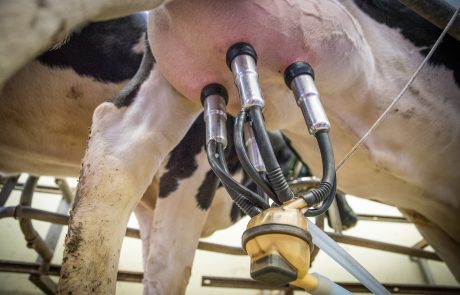 Danone vise à réduire ses émissions de méthane de 30 % d’ici 2030