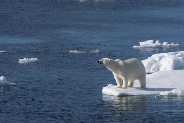 Un mois de décembre particulièrement doux pour le Groenland