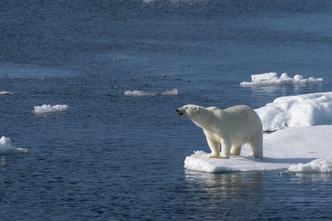 Un mois de décembre particulièrement doux pour le Groenland