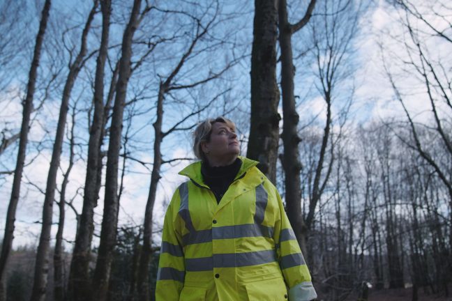 « L’utilisation du bois français n’est pas synonyme de déforestation »