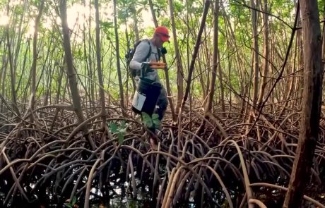 Par amour des mangroves de Floride, un homme transporte 10 tonnes de déchets des Keys