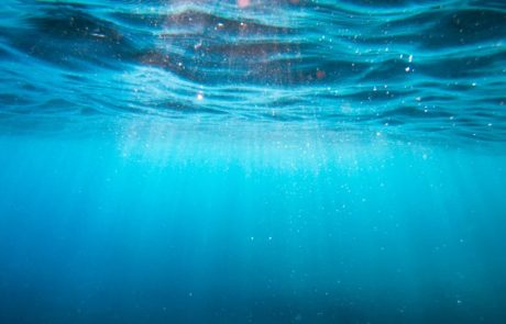Les nations garantissent le pacte mondial des Nations Unies pour la biodiversité en haute mer