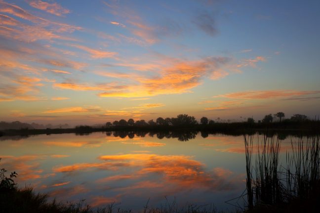 États-Unis : le Parc national des Everglades en danger