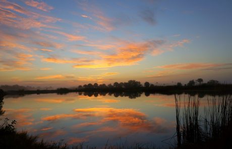 États-Unis : le Parc national des Everglades en danger