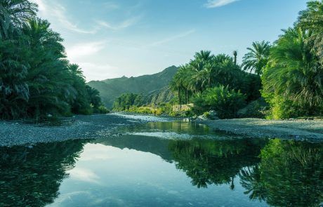 Les sacs en plastique à usage unique bannis du sultanat d’Oman à partir de 2021