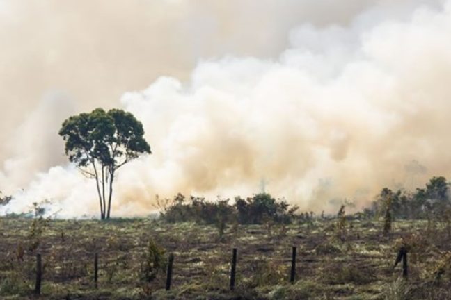 La perte de biodiversité constitue une menace financière mondiale