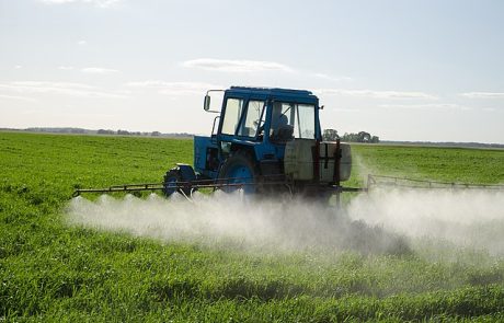 Pesticides dans l’arboriculture : deux ONG portent plainte