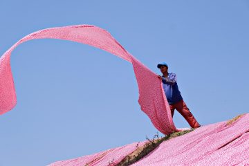 Textile : l’interdiction de destruction des invendus évolue