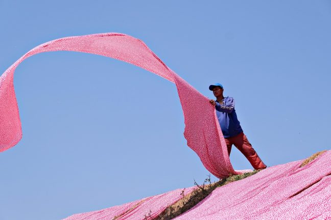 Textile : l’interdiction de destruction des invendus évolue