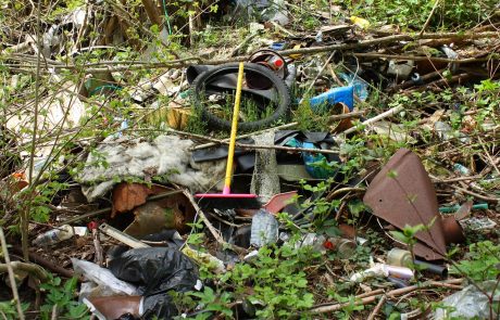 L’impact néfaste du plastique sur les sols terrestres : Une menace invisible pour l’écosystème terrestre