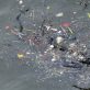 Pollution : l’Antarctique regorge de microplastiques invisibles