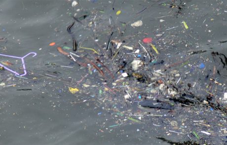 Pollution : l’Antarctique regorge de microplastiques invisibles