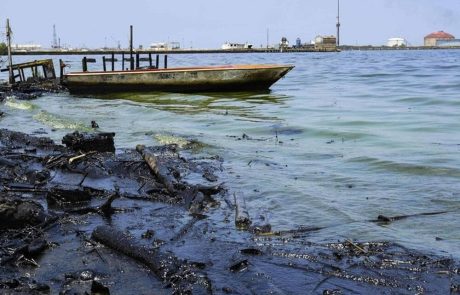 Au Venezuela les algues nourries par la pollution tapissent d’une couleur verte le lac Maracaibo