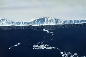 Pollution : Du plastique en Antarctique…jusque dans les zones les plus reculées